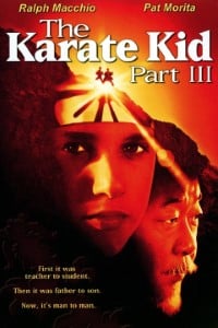 Download The Karate Kid Part III (1989) Dual Audio {Hindi-English} 480p [400MB] || 720p [1GB] || 1080p [2.26GB]
