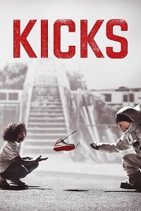 Download Kicks (2016) Dual Audio {Hindi-English} 480p [300MB] || 720p [850MB] || 1080p [1.66GB]