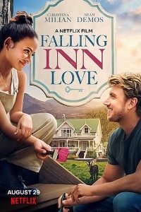Download Falling Inn Love (2019) Dual Audio (Hindi-English) 480p [300MB] || 720p [900MB]