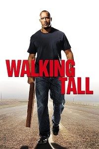 Download Walking Tall (2004) Dual Audio (Hindi-English) 480p [300MB] || 720p [800MB] || 1080p [1.47GB]