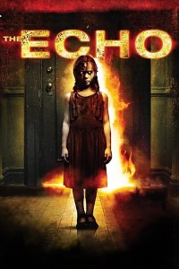 Download The Echo (2008) Dual Audio (Hindi-English) 480p [400MB] || 720p [800MB]