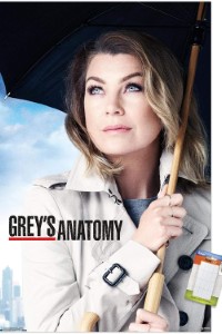 Download Grey’s Anatomy (Season 1-20) [S20E08 Added] {English With Subtitles} 720p Bluray [280MB] || 1080p [1GB]
