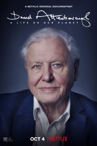 Download NetFlix David Attenborough: A Life on Our Planet (2020) {English With Subtitles} Web-Rip 480p [400MB] || 720p [800MB] || 1080p [1.3GB]