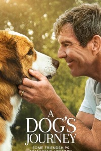 Download A Dog’s Journey (2019) {English With Subtitles} BluRay 480p [400MB] || 720p [800MB] || 1080p [1.8GB]