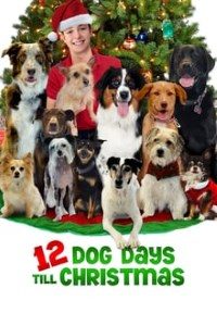Download 12 Dog Days Till Christmas (2014) Dual Audio (Hindi-English) 480p [300MB] || 720p [1.2GB]