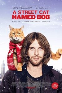 Download A Street Cat Named Bob (2016) {English With Subtitles} 480p [400MB] || 720p [800MB]