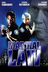 Download Martial Law (1990) Dual Audio (Hindi-English) 480p [300MB] || 720p [850MB]