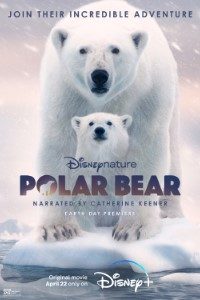 Download Polar Bear (2022) {English With Subtitles} 480p [250MB] || 720p [700MB] || 1080p [2.4GB]