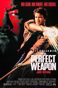 Download The Perfect Weapon (1991) {English With Subtitles} 480p [350MB] || 720p [750MB]