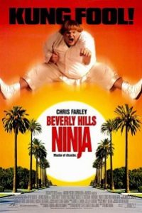 Download Beverly Hills Ninja (1997) Dual Audio (Hindi-English) 480p [350MB] || 720p [850MB] || 1080p [1.9GB]