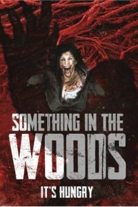 Download Something in the Woods (2022) {English With Subtitles} 480p [250MB] || 720p [600MB] || 1080p [1.4GB]