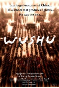 Download Jackie Chan Presents: Wushu (2008) Dual Audio (Hindi-English) 480p [400MB] || 720p [1.2GB]