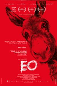 Download EO (2022) {Polish with Subtitles} Bluray 480p [275MB] || 720p [720MB] || 1080p [1.7GB]