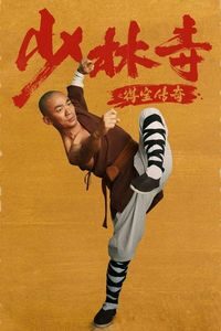 Download Rising Shaolin: The Protector (2021) Dual Audio {Hindi-Chinese} WEB-DL 480p [320MB] || 720p [1GB]