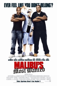 Download Malibu’s Most Wanted (2003) Dual Audio (Hindi-English) 480p [300MB] || 720p [999MB]