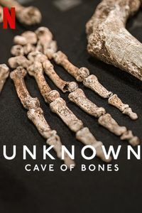 Download Unknown: Cave of Bones (2023) Dual Audio {Hindi-English} WEB-DL 480p [310MB] || 720p [850MB] || 1080p [2GB]