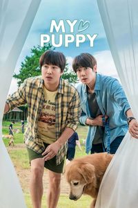 Download My Heart Puppy (2023) Dual Audio (Hindi-Korean) WeB-DL 480p [370MB] || 720p [1GB] || 1080p [2.3GB]