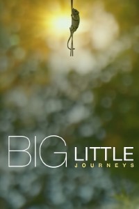 Download Big Little Journeys (Season 1) {English With Subtitles} WeB-DL 720p [500MB] || 1080p [2GB]