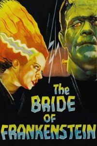 Download The Bride of Frankenstein (1935) {English With Subtitles} 480p [300MB] || 720p [685MB] || 1080p [1.39GB]