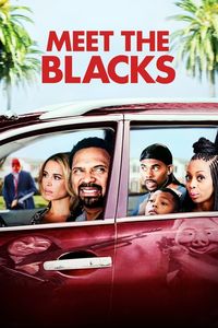 Download Meet the Blacks (2016) Dual Audio {Hindi-English} BluRay 480p [340MB] || 720p [890MB] || 1080p [2GB]