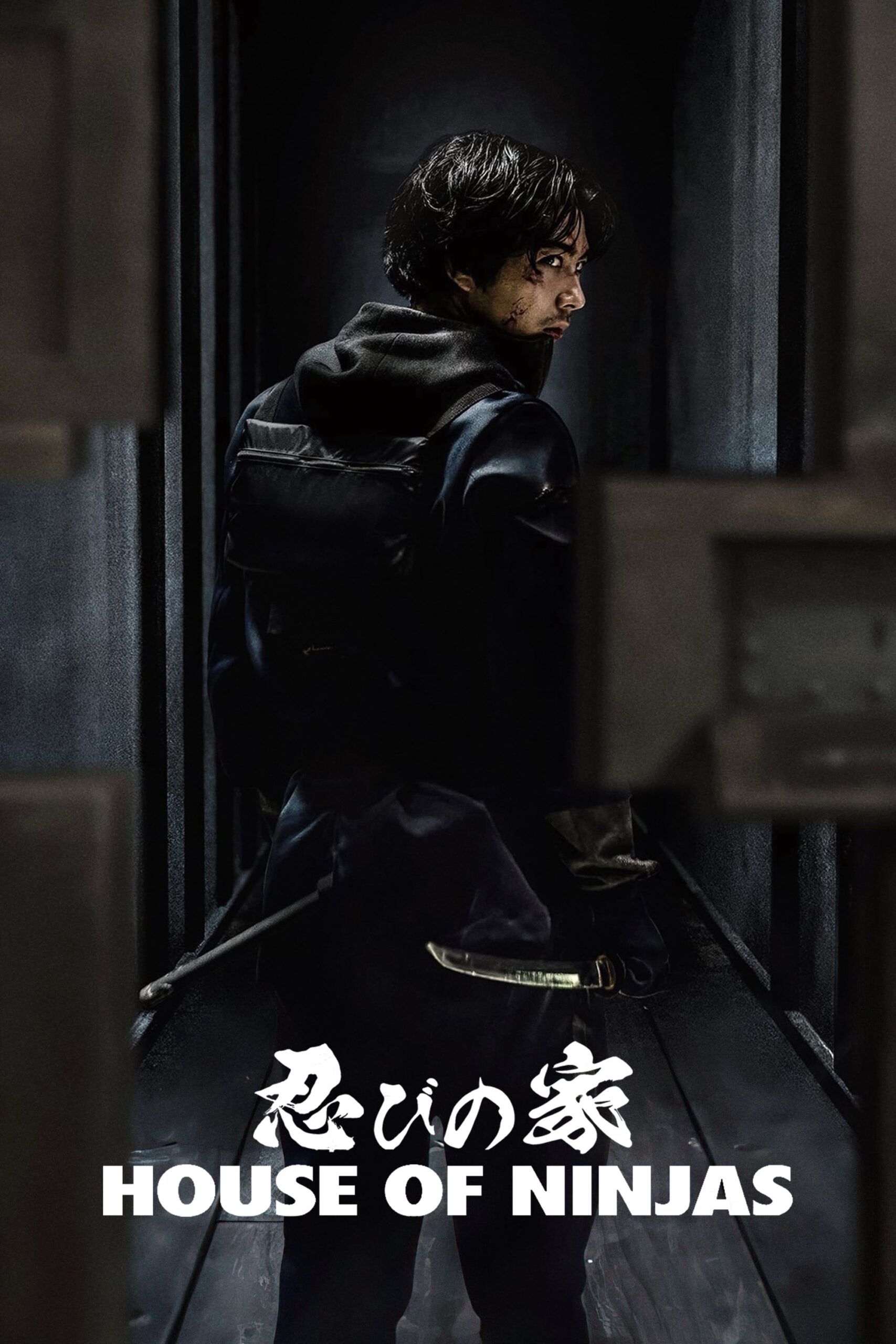 Download House of Ninjas (Season 1) Multi Audio {Hindi-English-Japanese} WeB-DL 480p [190MB] || 720p [340MB] || 1080p [1.2GB]