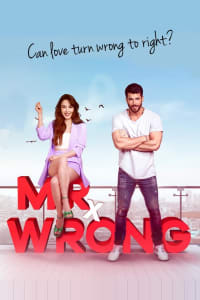 Download Mr. Wrong Season 1 [E02 Added] (Hindi Audio) Web-Dl 720p [280MB] || 1080p [800MB]
