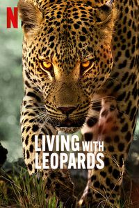 Download Living with Leopards (2024) {English With Subtitles} WEB-DL 480p [210MB] || 720p [570MB] || 1080p [1.3GB]